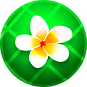 11.png