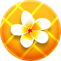8.png