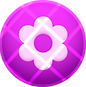 4.png