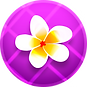 9.png